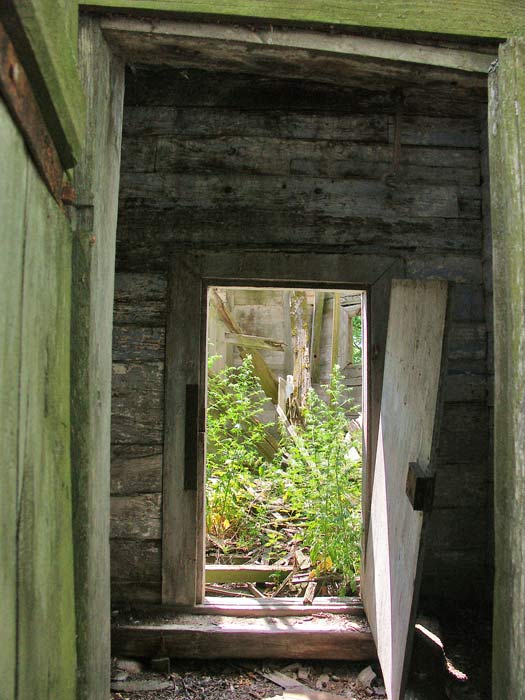  - Царква Святога Дзмітрыя. Фрагмент