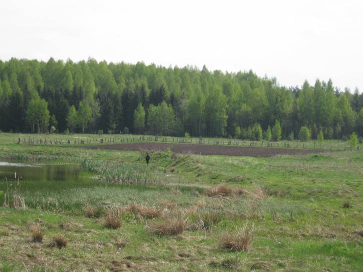 Dziewiętnia. Zespół dworsko-parkowy 