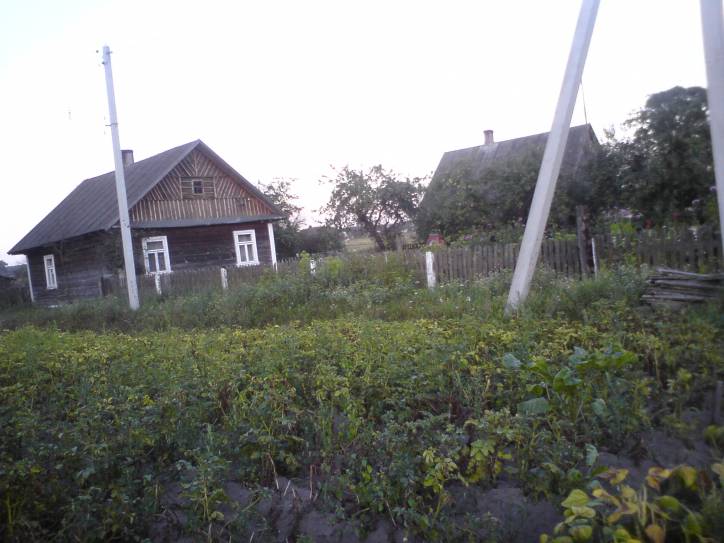 Pracutyčy (Bajary). In the village 