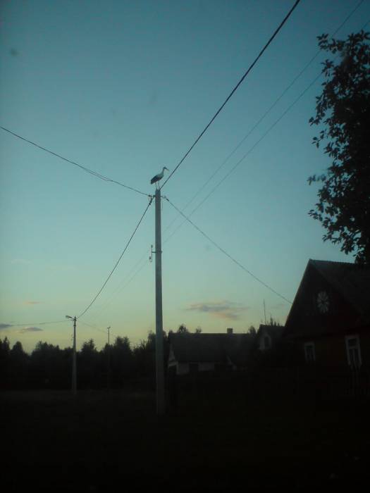 Pracutyčy (Bajary). In the village 