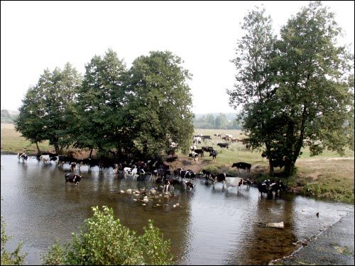  - Water-mill . 