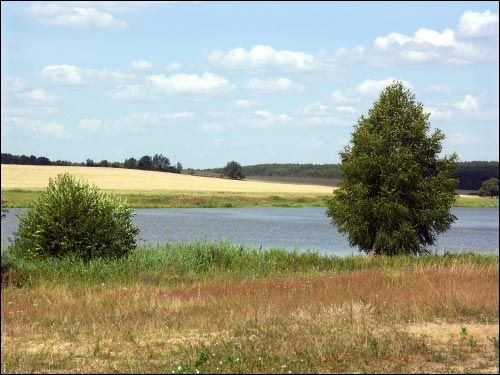 Wołczyn. Krajobrazy 