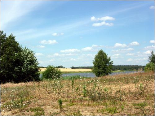 Wołczyn. Krajobrazy 