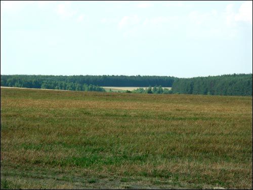 Wołczyn. Krajobrazy 