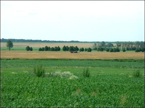 Wołczyn. Krajobrazy 