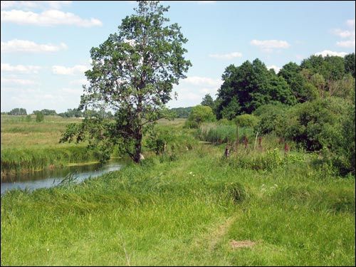 Wyganowo (Wysokie-Litewskie). Folwark «Wyhanów»