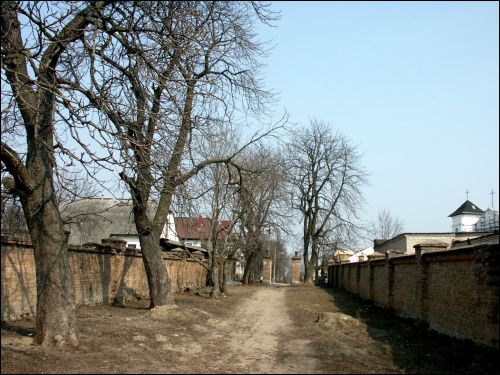 Vysokaje. Landscapes 