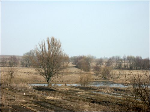 Vysokaje. Landscapes 