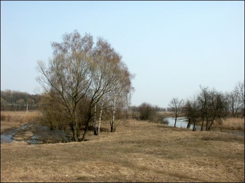 Vysokaje. Landscapes 