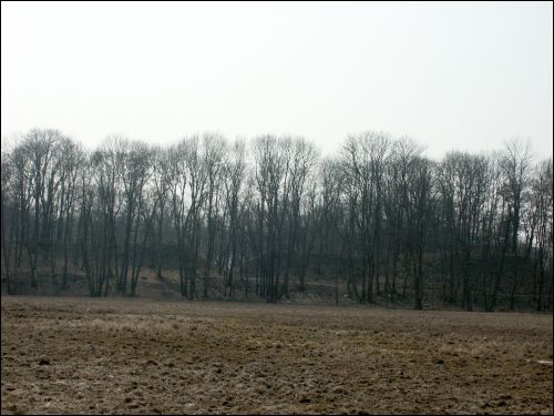 Vysokaje. Landscapes 