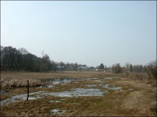 Vysokaje. Landscapes 