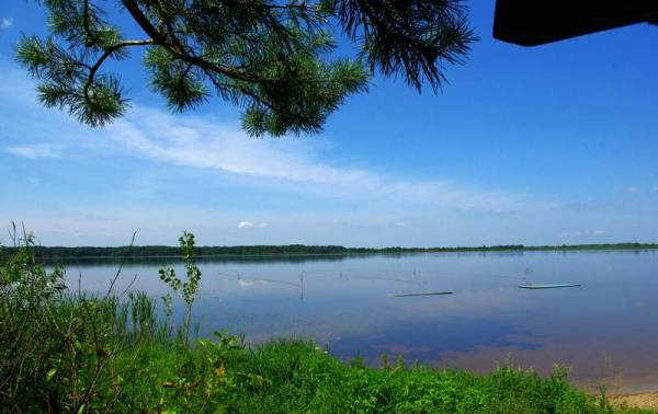 Dzivin.  Landscapes 