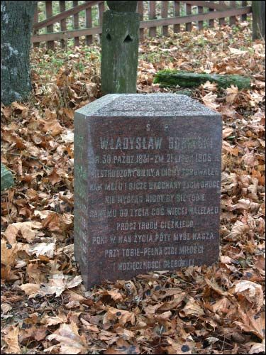  -   . S.P. Władysław Bobiński
