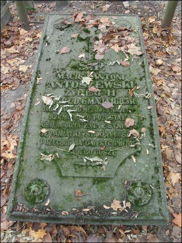  -   . S.P. Maciej Antoni Antoszewski