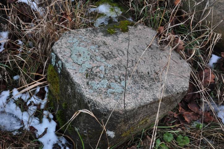 Аборак (Палачаны). Касцёл Унебаўзяцця Найсвяцейшай Панны Марыі і Св. Роха