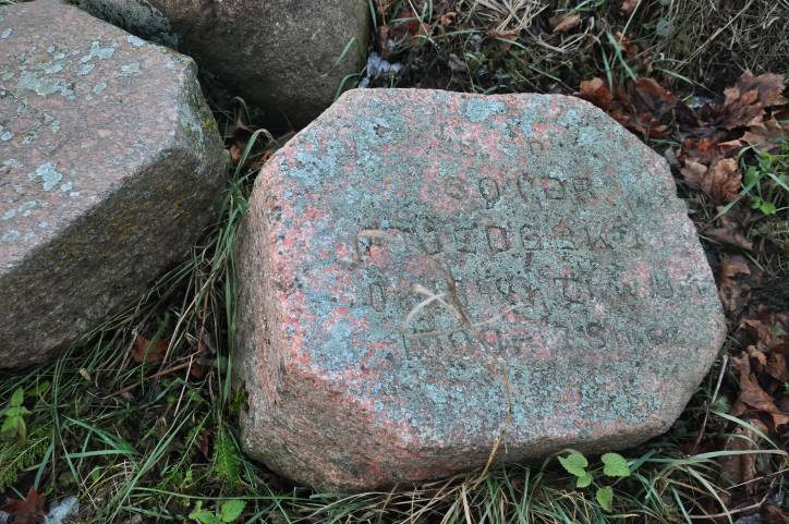 Аборак (Палачаны). Касцёл Унебаўзяцця Найсвяцейшай Панны Марыі і Св. Роха