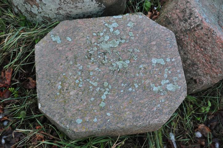 Аборак (Палачаны). Касцёл Унебаўзяцця Найсвяцейшай Панны Марыі і Св. Роха