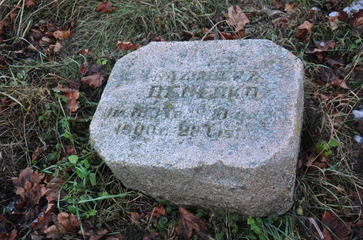 Аборак (Палачаны). Касцёл Унебаўзяцця Найсвяцейшай Панны Марыі і Св. Роха