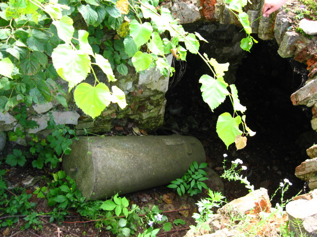 Аборак (Палачаны). Касцёл Унебаўзяцця Найсвяцейшай Панны Марыі і Св. Роха