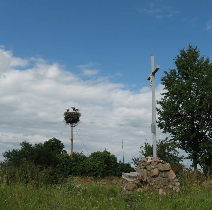 Аборак (Палачаны). Касцёл Унебаўзяцця Найсвяцейшай Панны Марыі і Св. Роха