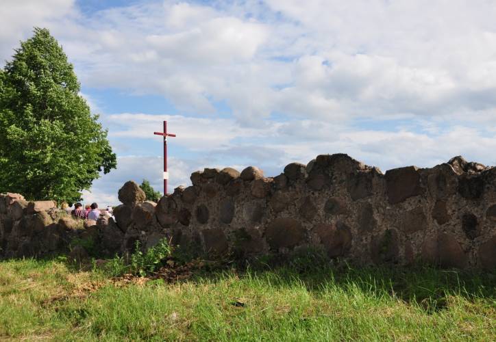 Аборак (Палачаны). Касцёл Унебаўзяцця Найсвяцейшай Панны Марыі і Св. Роха