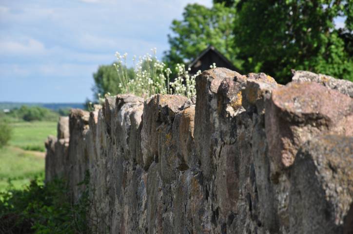 Аборак (Палачаны). Касцёл Унебаўзяцця Найсвяцейшай Панны Марыі і Св. Роха