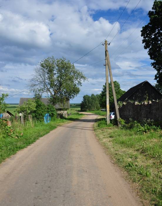 Аборак (Палачаны). Касцёл Унебаўзяцця Найсвяцейшай Панны Марыі і Св. Роха