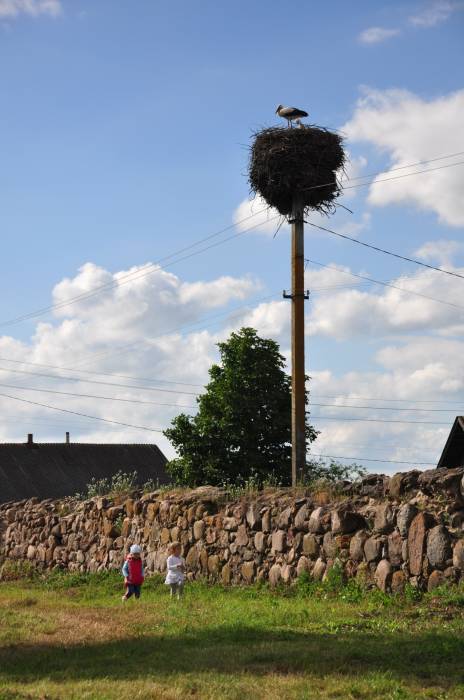Аборак (Палачаны). Касцёл Унебаўзяцця Найсвяцейшай Панны Марыі і Св. Роха