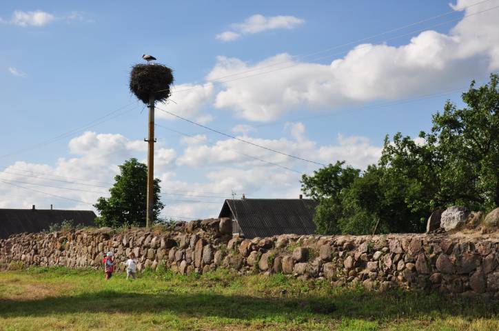 Аборак (Палачаны). Касцёл Унебаўзяцця Найсвяцейшай Панны Марыі і Св. Роха