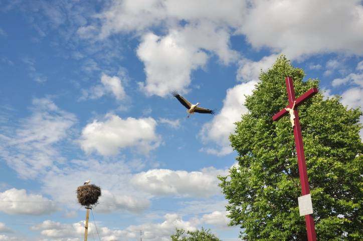 Аборак (Палачаны). Касцёл Унебаўзяцця Найсвяцейшай Панны Марыі і Св. Роха