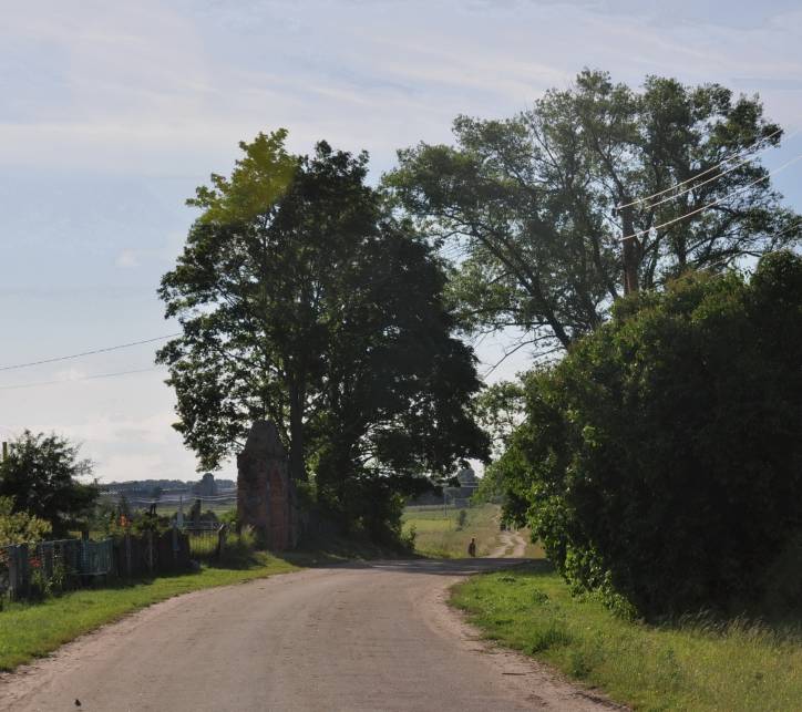 Аборак (Палачаны). Касцёл Унебаўзяцця Найсвяцейшай Панны Марыі і Св. Роха