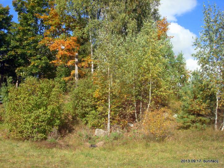 Domniki. Landscapes 