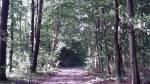 Tułycze.  Park dworski Dziekońskich