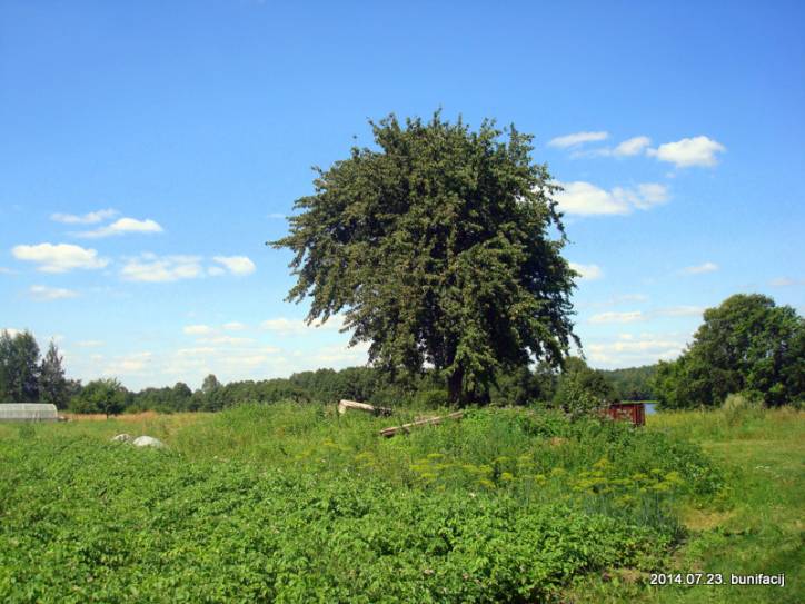 Турец. Пейзажи 