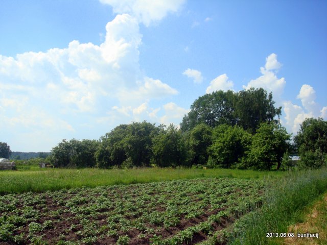 - Пейзажи . В деревне