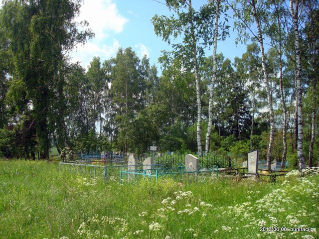  - Пейзажи . Деревенское кладбище