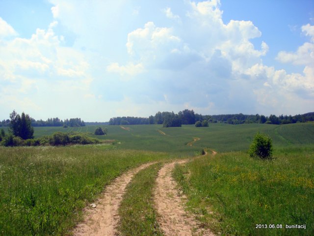  - Пейзажи . Дорога