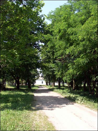  - Manor of Bochvic. Parkway