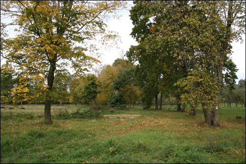  - Manor of Bochvic. Fragment of the park