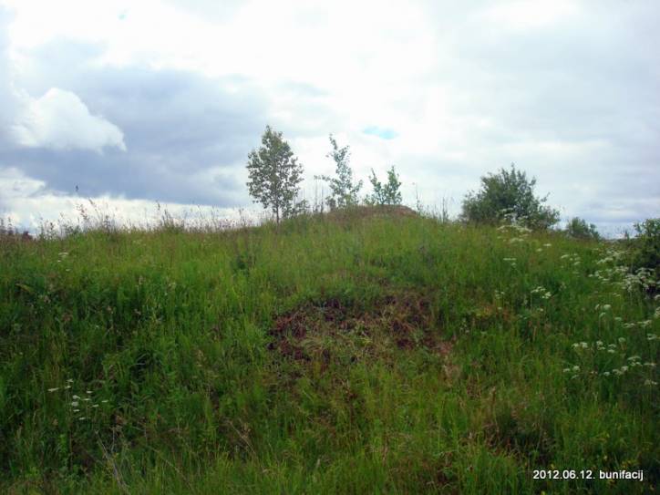 Вухвішча. Капліца Святога Тадэвуша