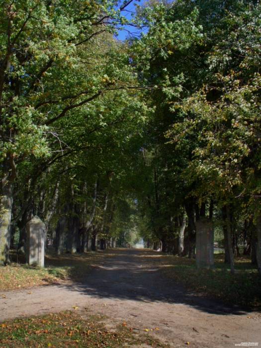  - Zespół dworsko-parkowy Rejtanów. 
