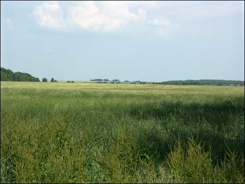 Hrušaŭka. Landscapes 