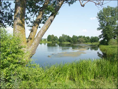 Hrušaŭka. Landscapes 