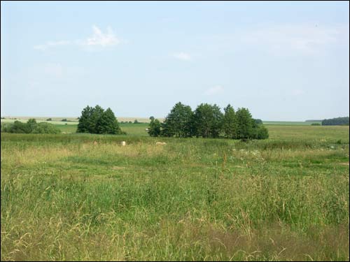 Hrušaŭka. Landscapes 