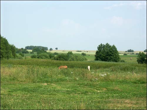 Hrušaŭka. Landscapes 