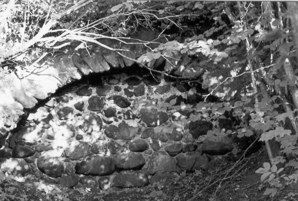 Serenczany. Zespół dworsko-parkowy 