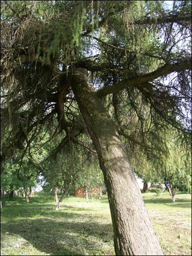 Karanieŭščyna. Estate of Łopat