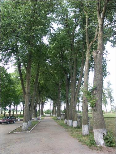 Karanieŭščyna. Estate of Łopat