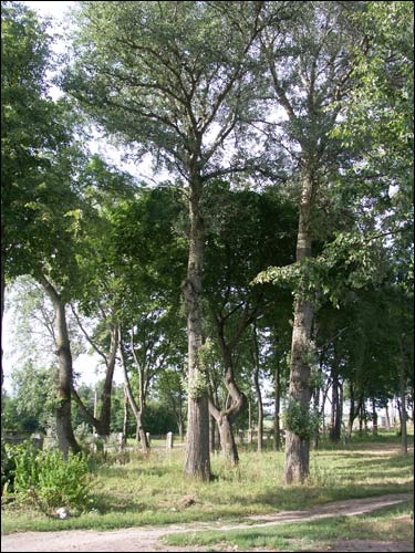 Karanieŭščyna. Estate of Łopat