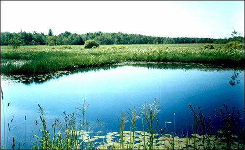 Klemancova. Farmstead of Kijakowski